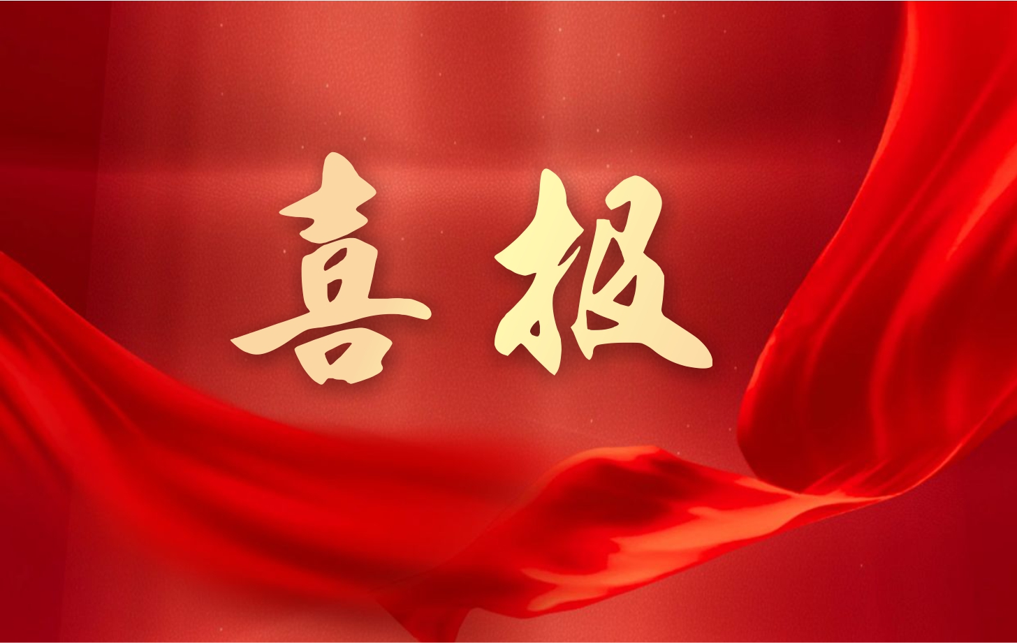 营收净利双增长！pp电子游戏电子2025年一季度经营业绩续写高质量发展华章